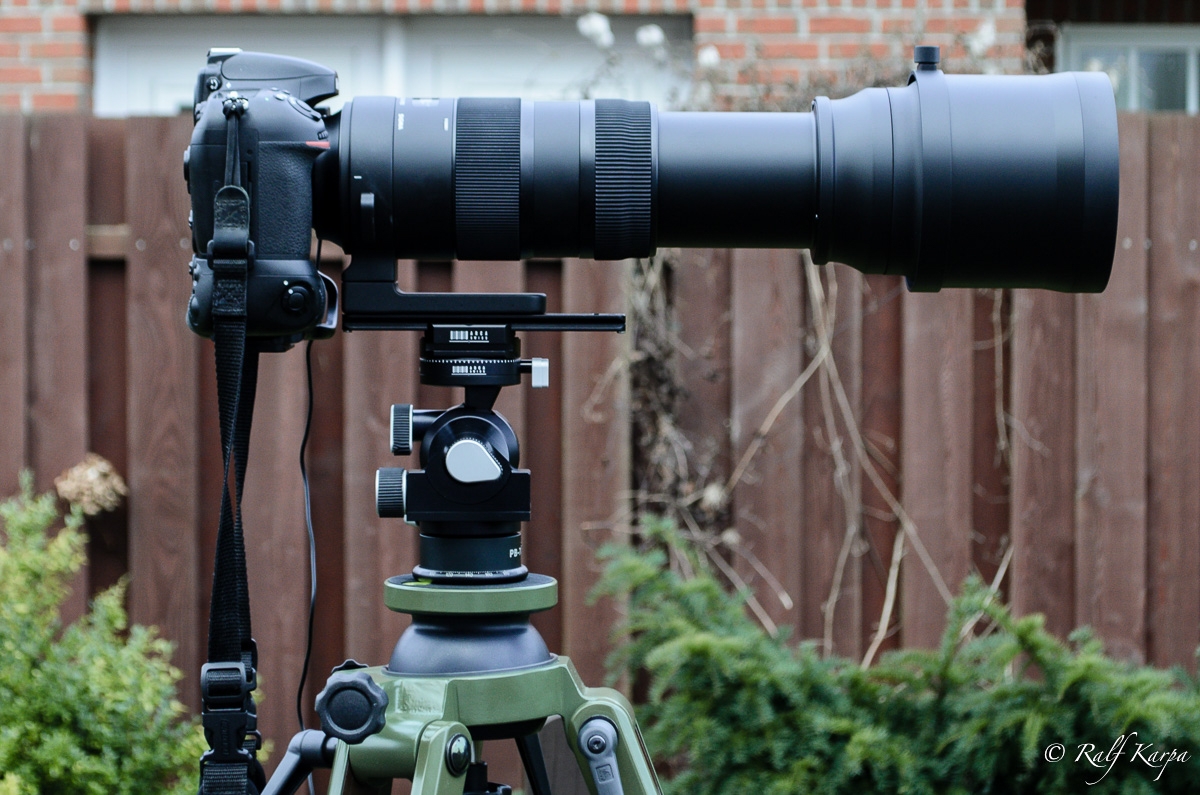D800 with Sigma 150-600