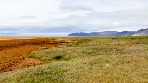 Red beach in Rauðisandur